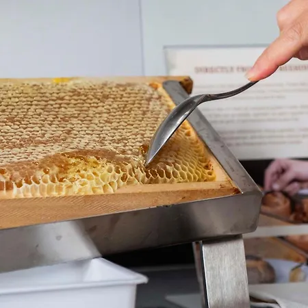 International 4* San Benedetto del Tronto